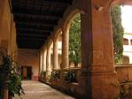 20080118123532-yuste.jpg